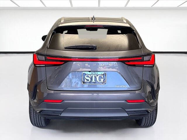 2024 Lexus NX 250