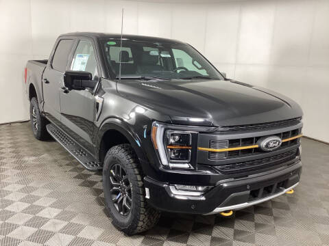 2023 Ford F-150 for sale at Everyone's Financed At Borgman in Grandville MI