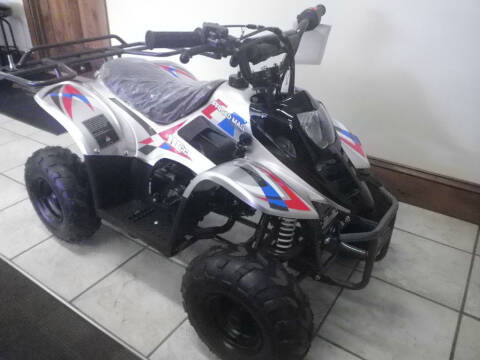 1900 REX 110 CC for sale at VICTORY AUTO in Lewistown PA