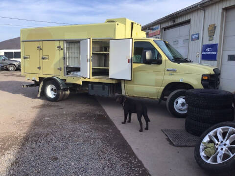 2011 Ford E-Series E-450 SD