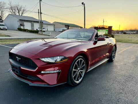 2019 Ford Mustang for sale at HillView Motors in Shepherdsville KY