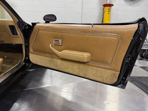 1981 Pontiac Firebird Trans Am