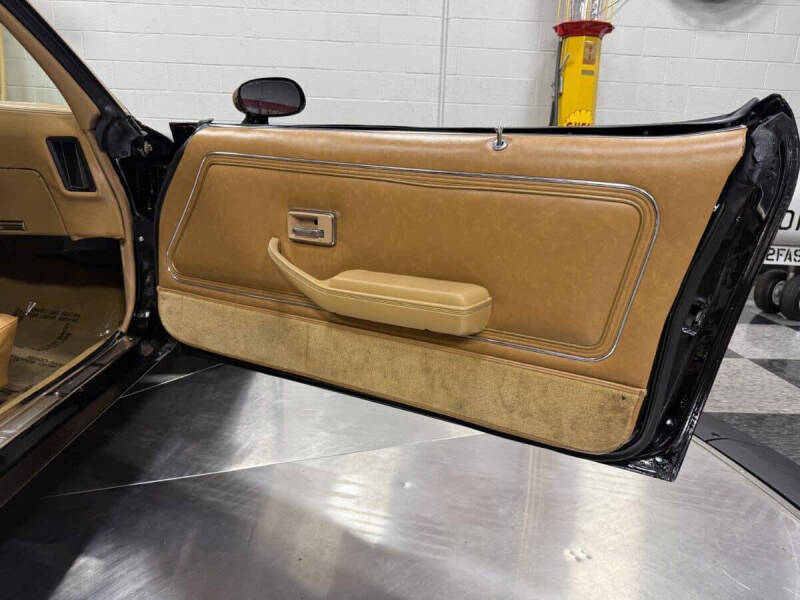 1981 Pontiac Firebird Trans Am