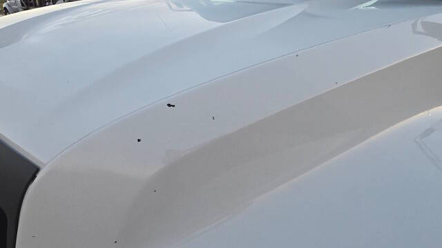 2012 International TerraStar