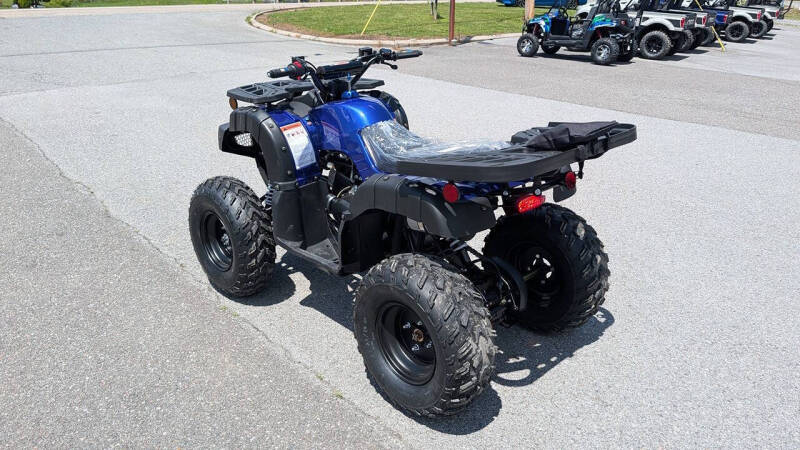 2025 TrailMaster 200 Utility