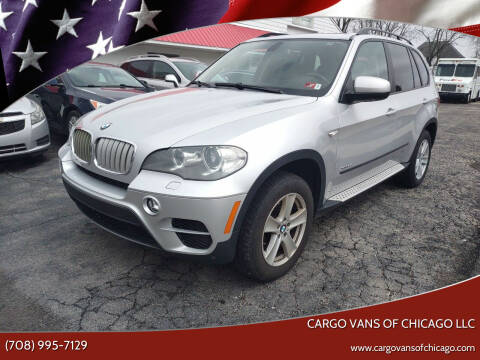 2011 BMW X5 for sale at Cargo Vans of Chicago LLC in Bradley IL