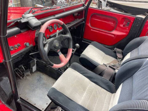 1973 Volkswagen Thing