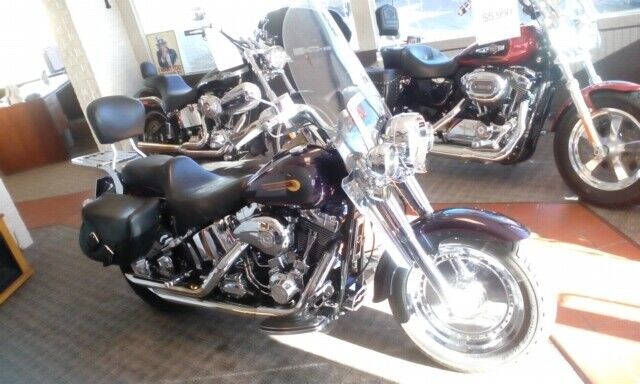 2004 Harley-Davidson FLSTFI