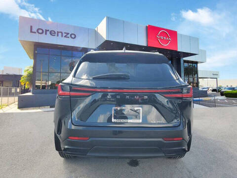 2025 Lexus NX 250 Premium