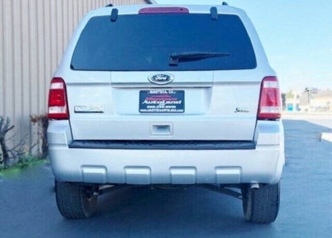 2010 Ford Escape XLT