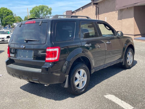 2009 Ford Escape XLT