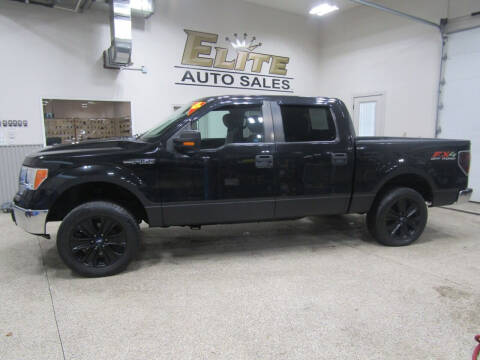 2013 Ford F-150 for sale at Elite Auto Sales in Ammon ID