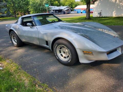 1981 Chevrolet Corvette for sale at Every Day Auto Sales in Shakopee MN