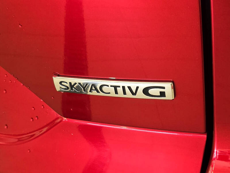 Click to enlarge