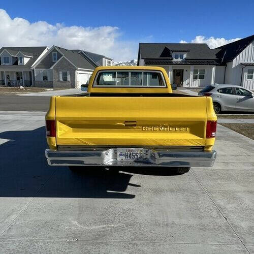 1981 Chevrolet Silverado 1500 SS Classic