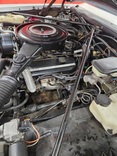 1984 Cadillac Eldorado