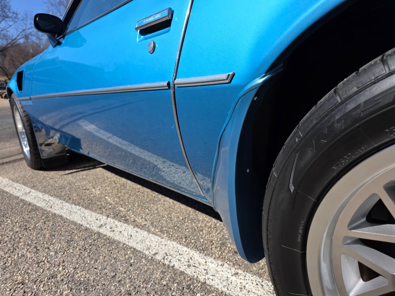 1980 Pontiac Firebird Trans Am 98