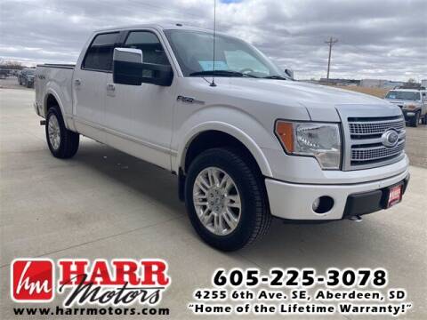 2010 Ford F-150 for sale at Harr's Redfield Ford in Redfield SD