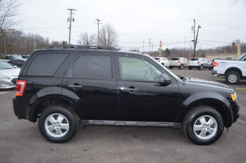 2010 Ford Escape XLT