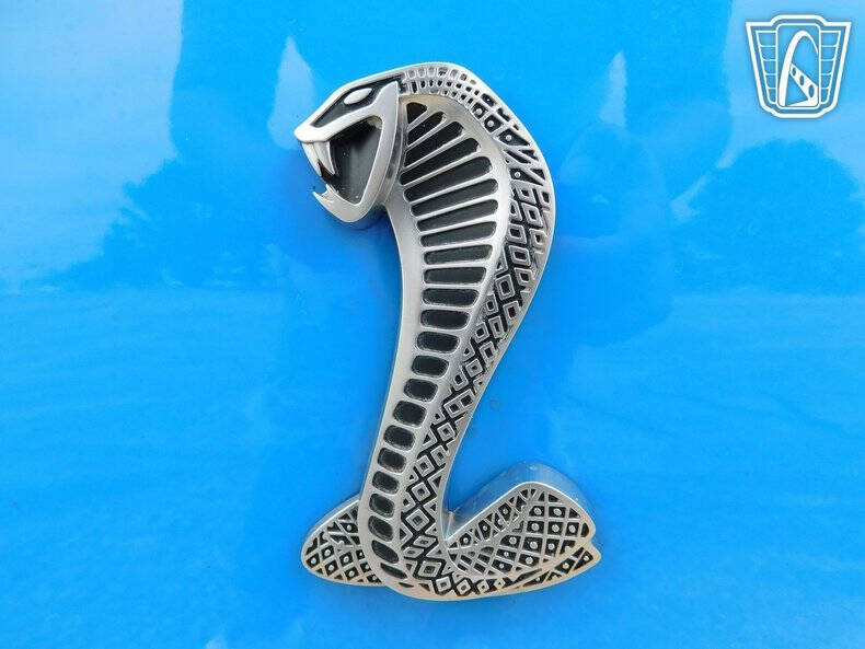 2010 Ford Shelby GT500