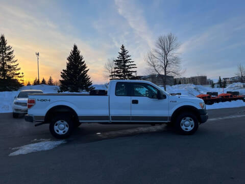 2009 Ford F-150 for sale at Crown Motor Inc in Grand Forks ND