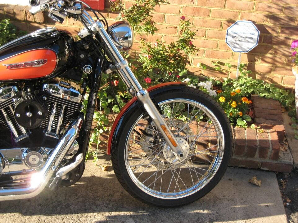 2009 Harley-Davidson Sportster 1200 Custom for sale at Auto Link Inc in Hamilton, VA