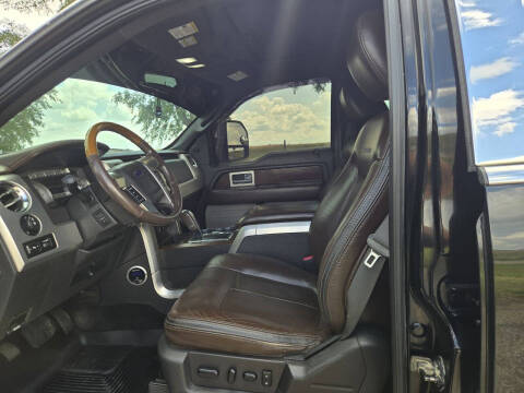 2009 Ford F-150 Platinum