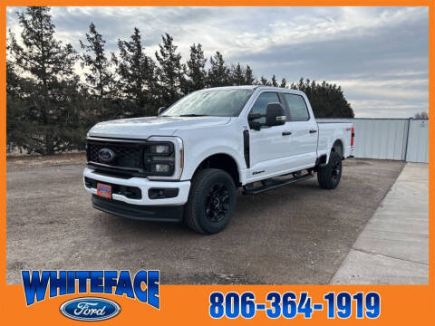 2025 Ford F-250 Super Duty for sale at Whiteface Ford in Hereford TX