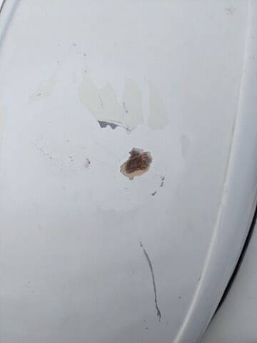 1975 Volkswagen Beetle