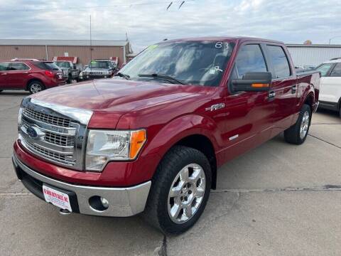 2014 Ford F-150 for sale at De Anda Auto Sales in South Sioux City NE