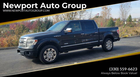 2013 Ford F-150 for sale at Newport Auto Group in Boardman OH