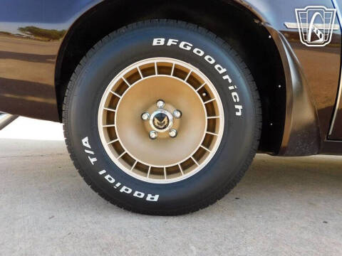 1981 Pontiac Firebird Trans Am