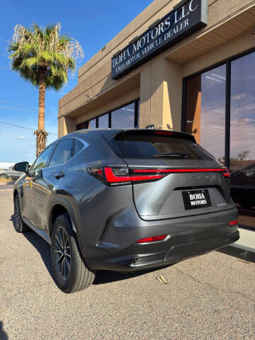 2023 Lexus NX 250