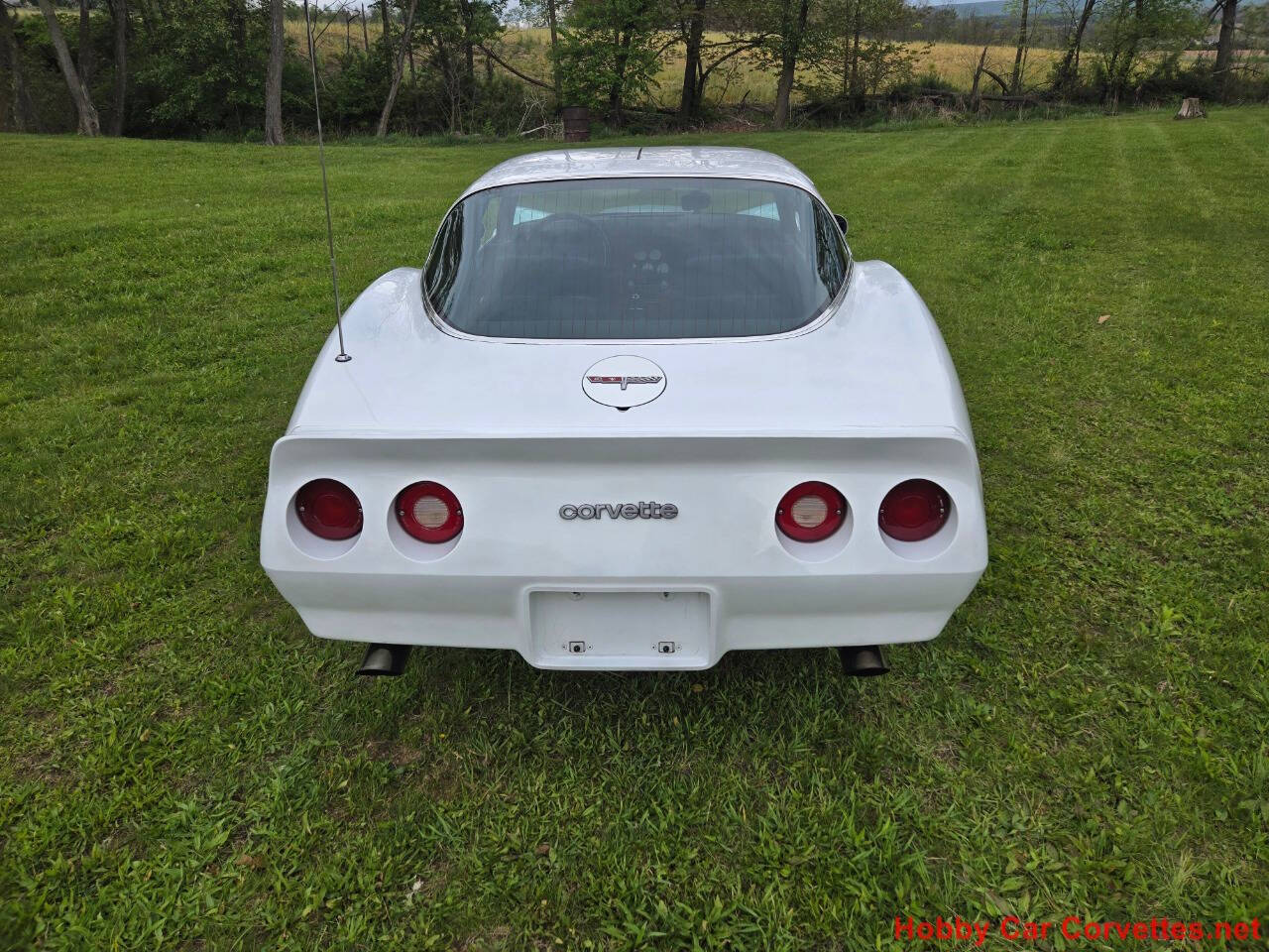 1980 Chevrolet Corvette 6