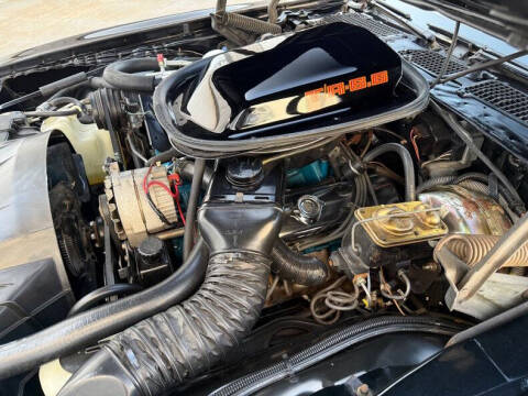 1979 Pontiac Trans Am