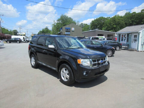 2011 Ford Escape XLT