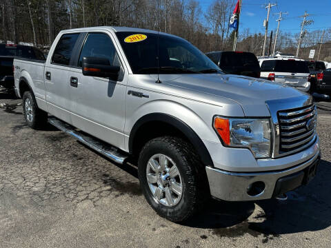 2012 Ford F-150 for sale at Pine Grove Auto Sales LLC in Russell PA