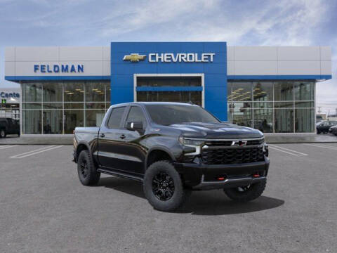 2024 Chevrolet Silverado 1500 for sale at Jimmys Car Deals at Feldman Chevrolet of Livonia in Livonia MI