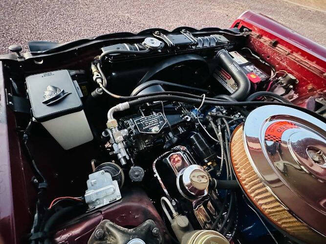 1966 Mercury Cougar