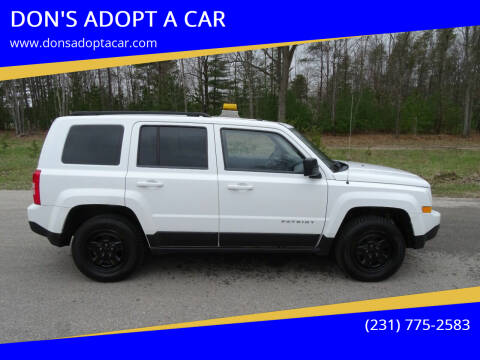 2014 Jeep Patriot for sale at DON'S ADOPT A CAR in Cadillac MI