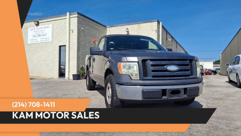 2009 Ford F-150 XL Photo