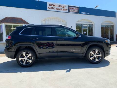 2020 Jeep Cherokee for sale at North East Auto Gallery in North East PA