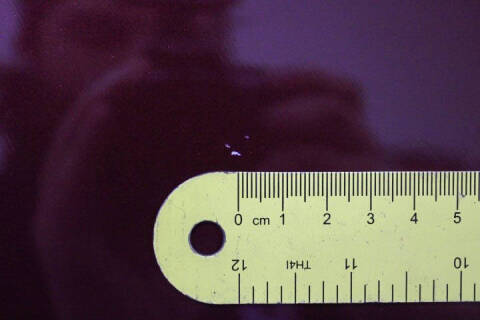 1986 Chevrolet C/K 10 Series C10