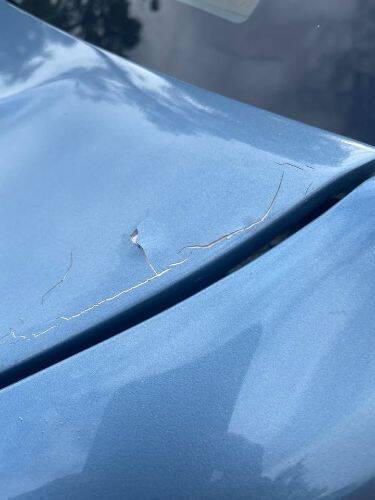 1985 Pontiac Parisienne