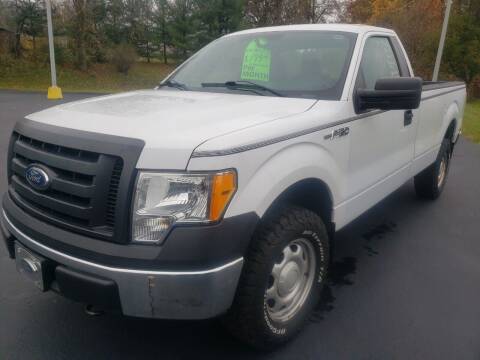 2011 Ford F-150 for sale at STRUTHER'S AUTO MALL in Austintown OH