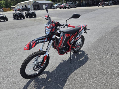 2024 TrailMaster TM 38EX-300