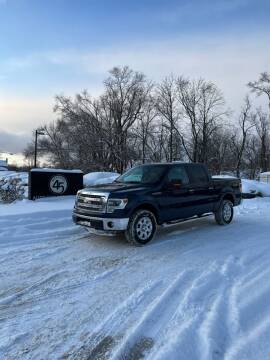 2014 Ford F-150 for sale at Station 45 Auto Sales Inc in Allendale MI