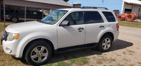 2009 Ford Escape XLT