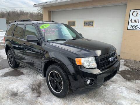 2011 Ford Escape for sale at G & G Auto Sales in Steubenville OH