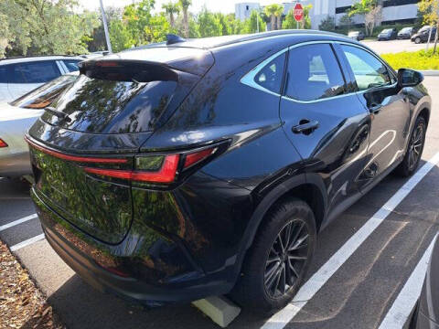 2023 Lexus NX 250